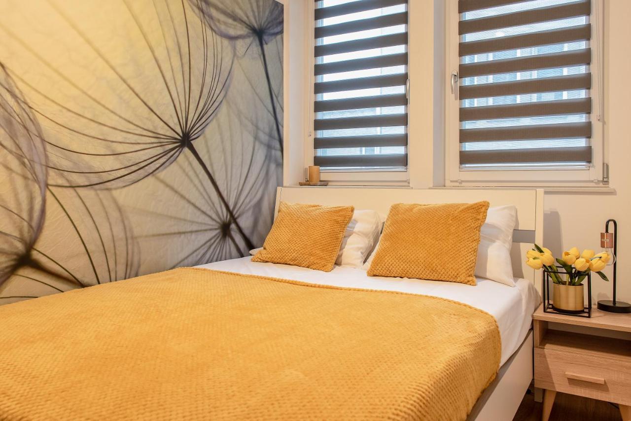 3d Kosciuszki 19 Appartement