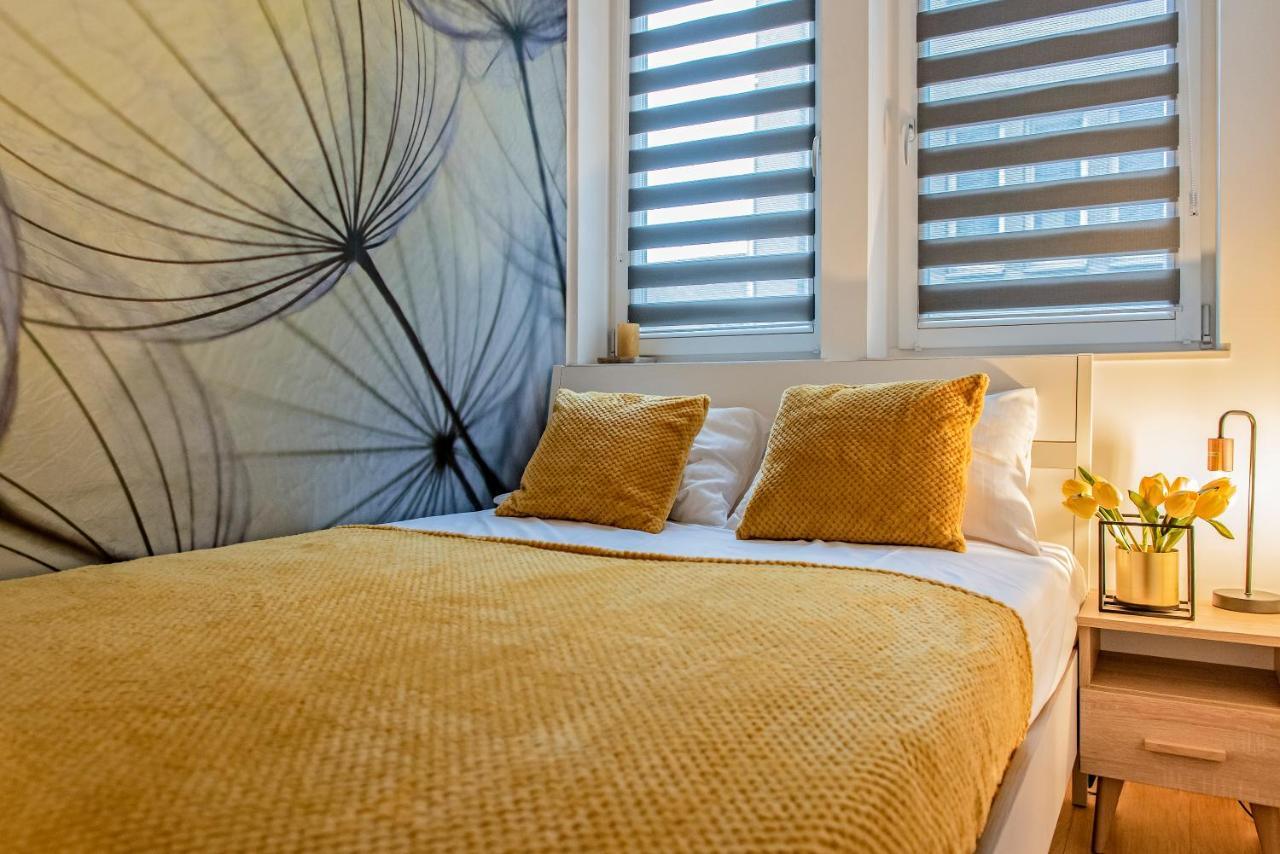 3d Kosciuszki 19 Appartement